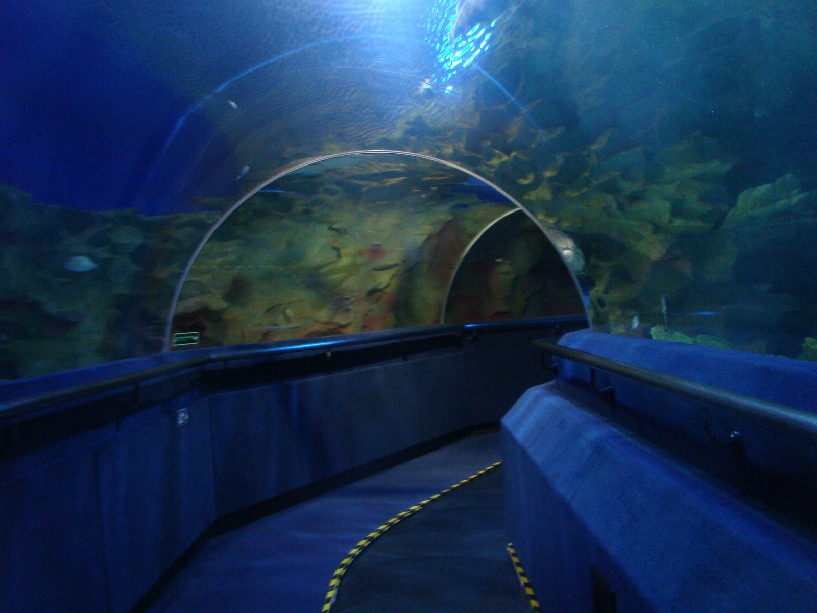Photos of Aquaria KLCC, Malaysia eNidhi India Travel Blog