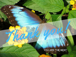 Gratitude, by Annerose Walz on Pixabay Image: Gratitude, by Annerose Walz on Pixabay