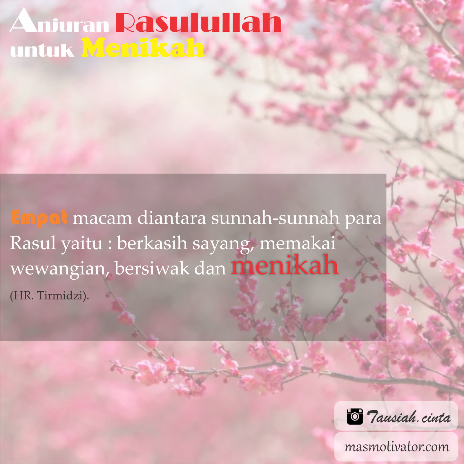 Lima Hadits Motivasi Untuk Segera Menikah - master-corel.com