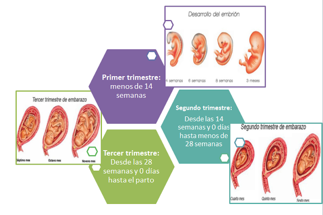 VIAJE A LA CIE-10: CODIFICACIÓN CLÍNICA DE EMBARAZO, PARTO Y PUERPERIO
