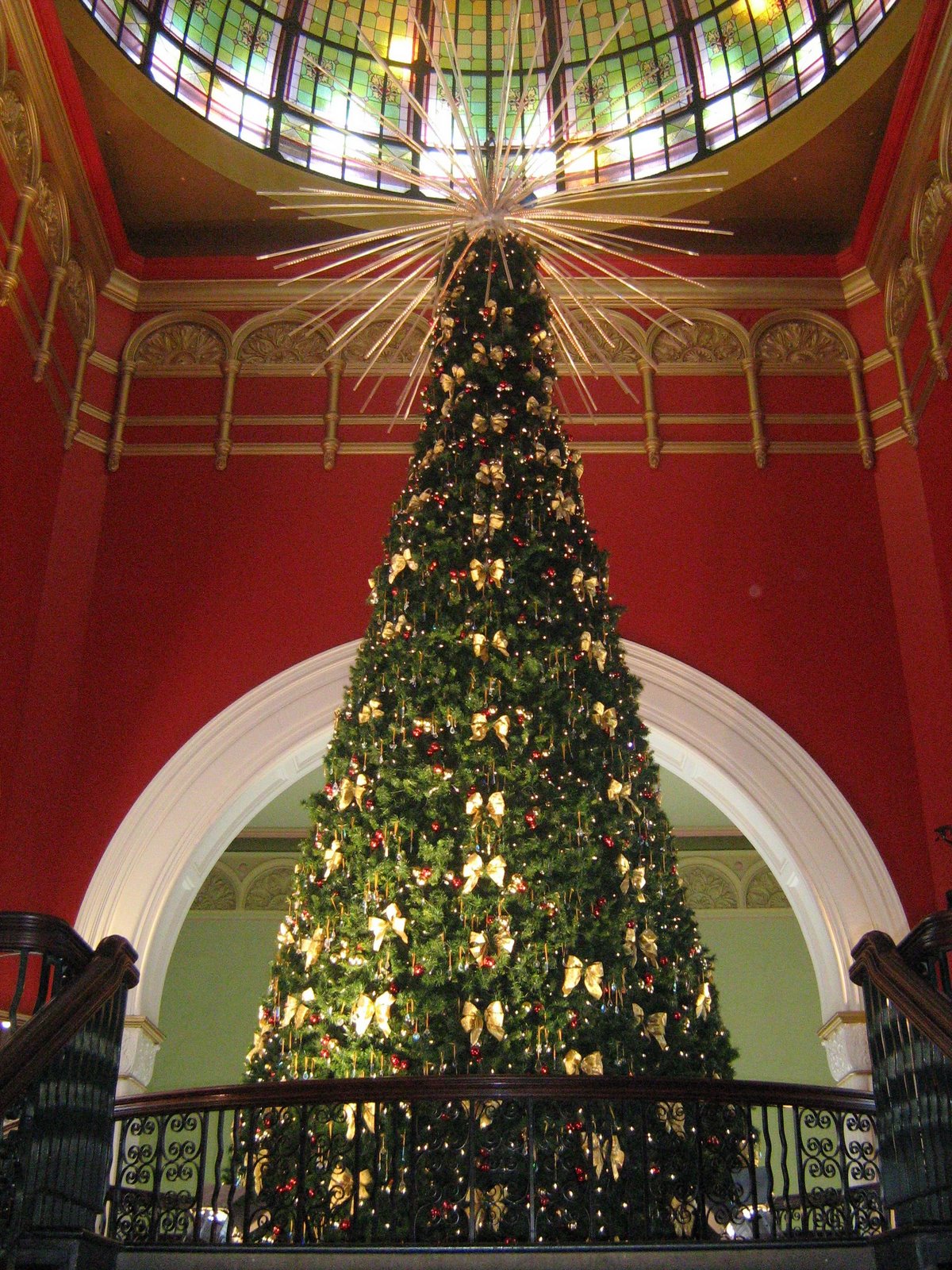 Sydney  City and Suburbs Queen Victoria Building, Christmas Tree