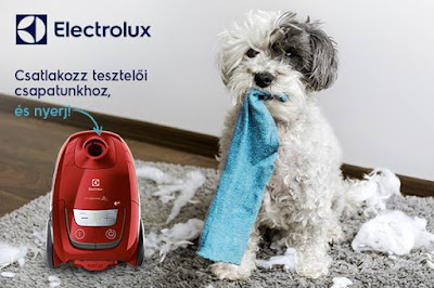 Electrolux porszívó tesztelés