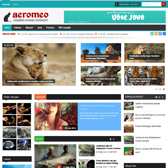 Blogger Templates Magazine Free