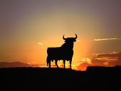 toro en la puesta de sol
