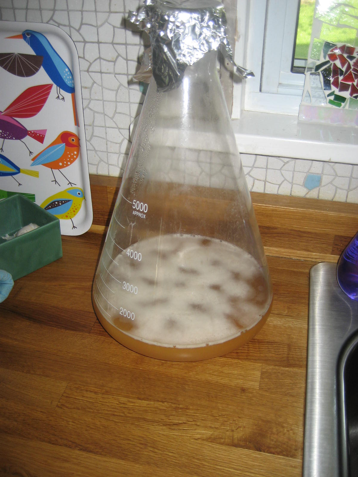 Fresh Beer Every Friday A Brew Day