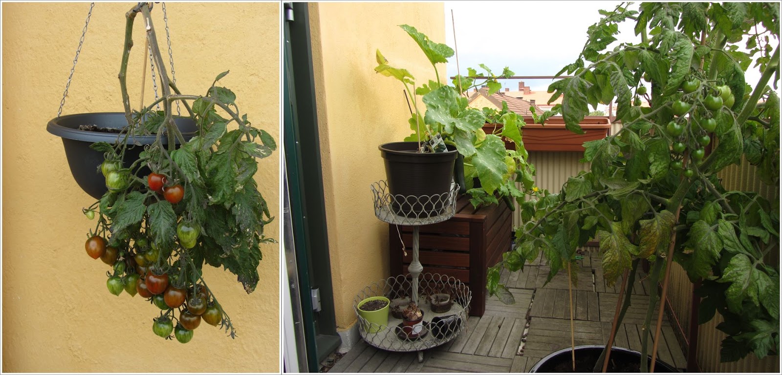 Neues aus dem Norden Endlich Sommer