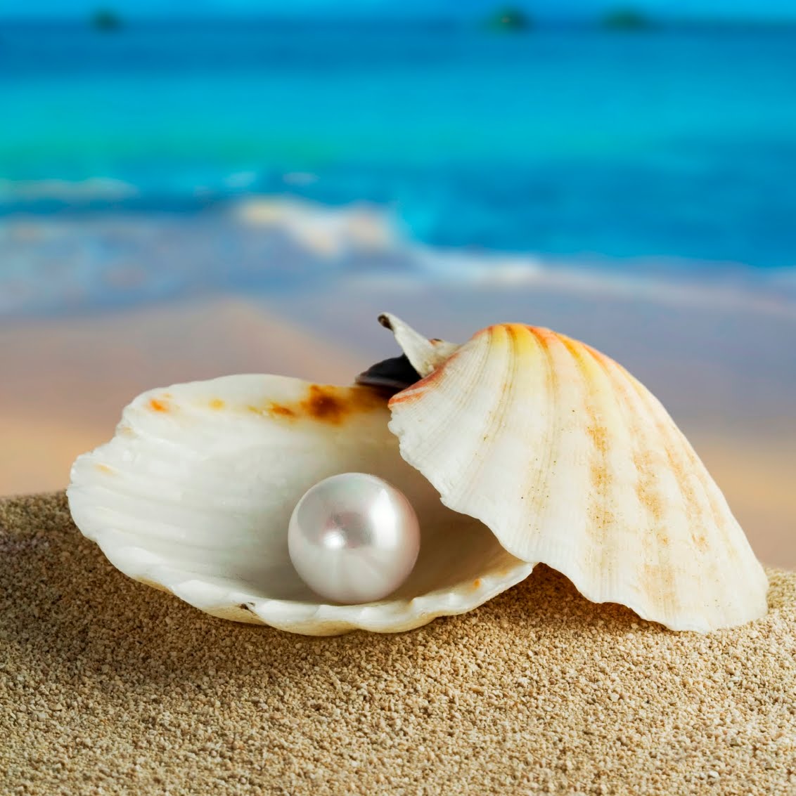 One Pearl One Pearl
