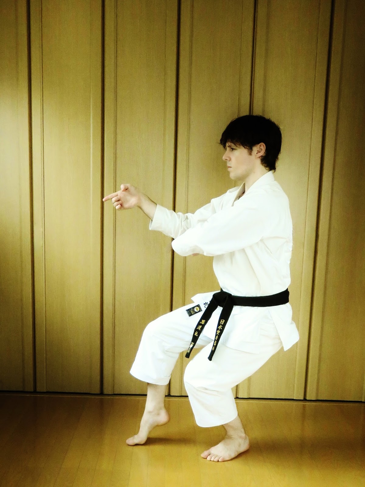André Bertel's Karate-Do: Gojushiho Dai Kata: A generic outline