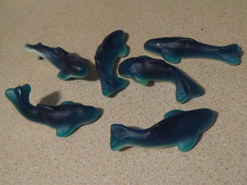 gummy sharks