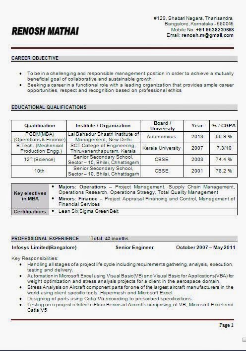 curriculum vitae format in word