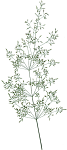 11_Grass.png