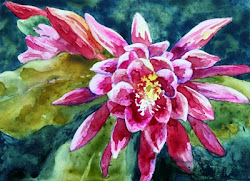 cactus flower watercolor goldman nancy painting paintings terraskin paula holy nature silk