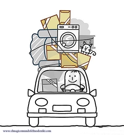 gatos-cambios-viajes-mudanza-ocasiona-pérdida-del-apetito