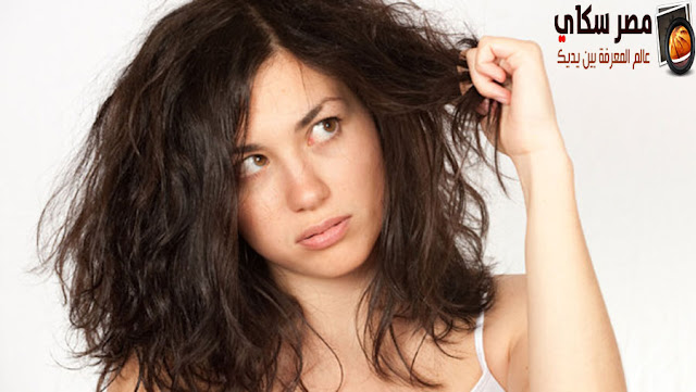 10 طرق للعناية بالشعر الجاف - الدهنى -العادى hair care