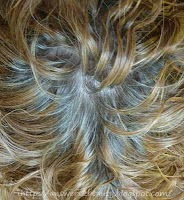 View source image Image result for Gray Roots