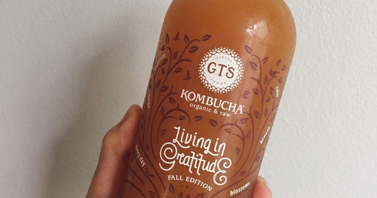 GTS Kombucha Living in Gratitude Fall Edition with Apple, Turmeric