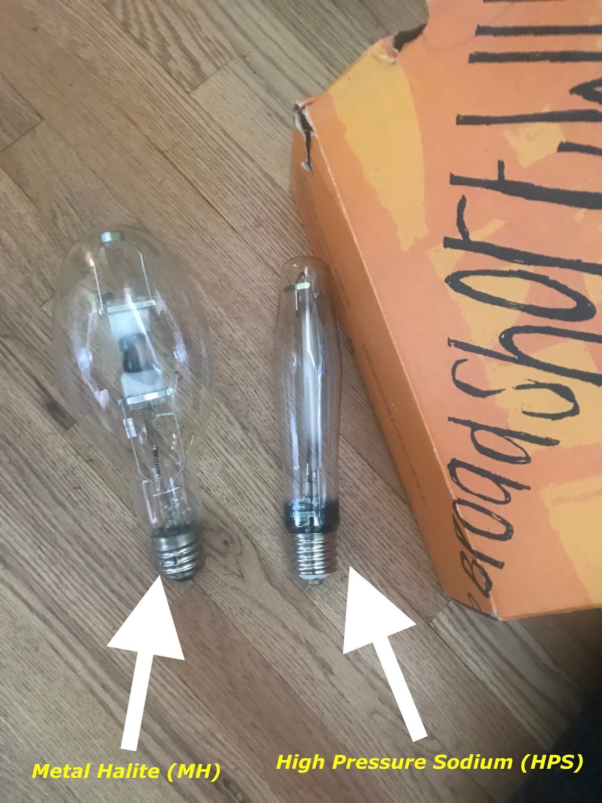 Best Grow Lights for Indoor Marijuana Growing