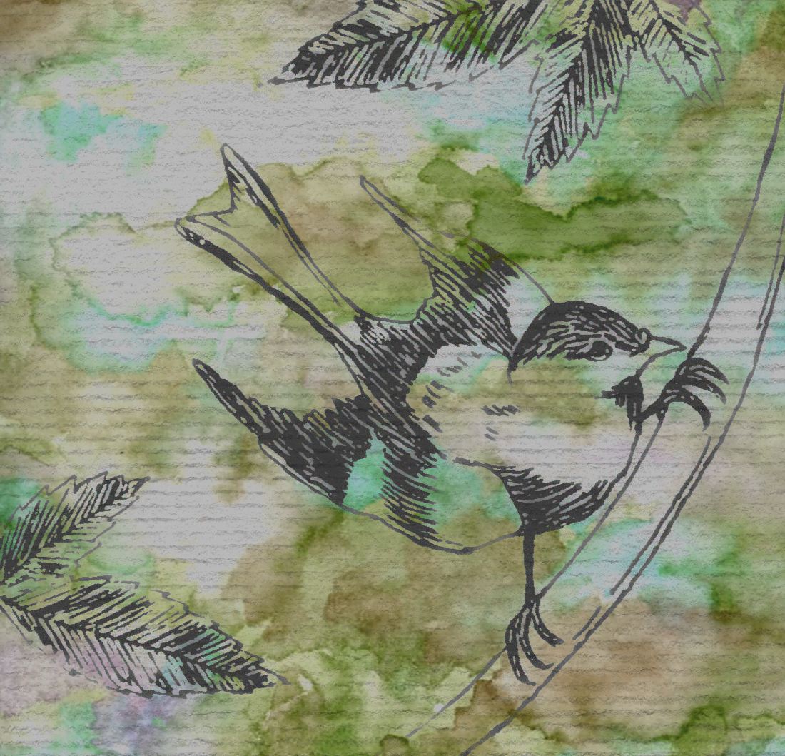 Copper Blossom Paperie Watercolor & India Ink Bird Drawing