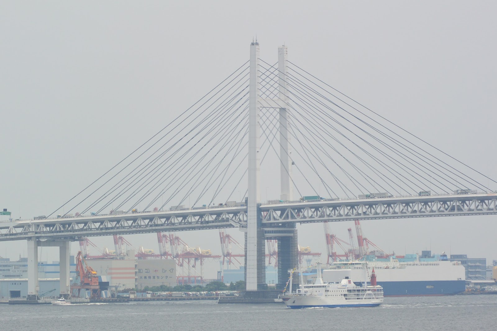 気ままに撮影を 大桟橋 さるびあ丸 貸切便(航路外)