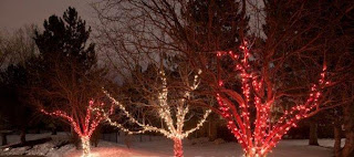 Bright Christmas: Branch Wrapping Trees (THE RIGHT WAY!!!)