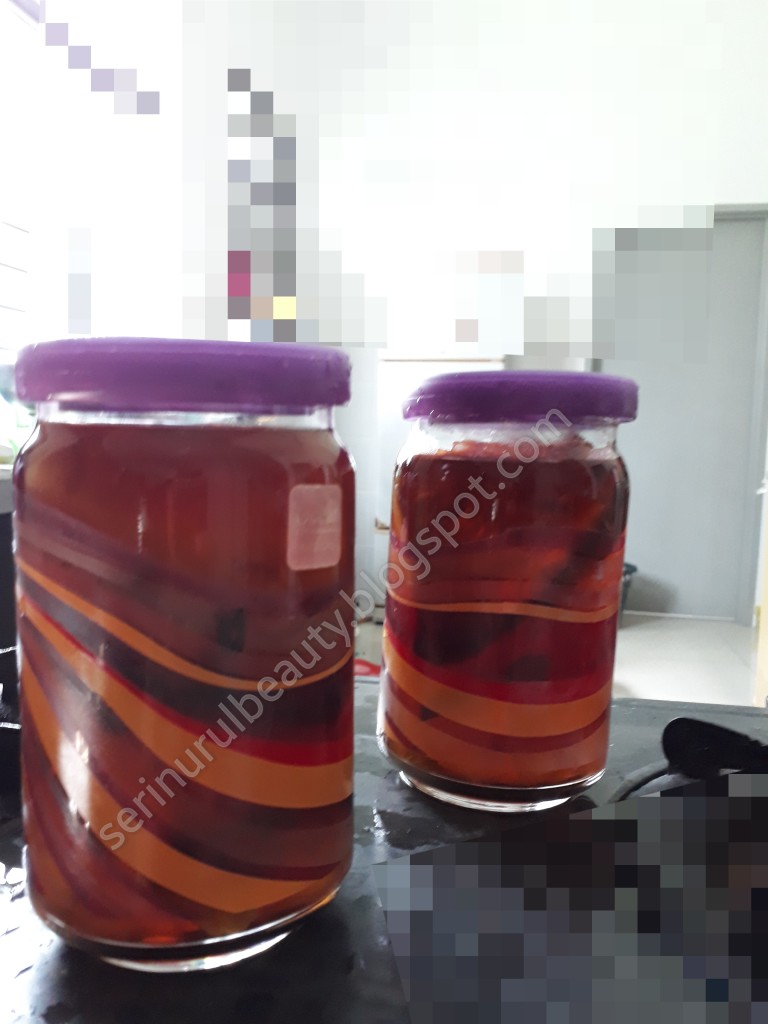 Healthy Nurul Beauty Get 2 container kombucha tea starter using minty