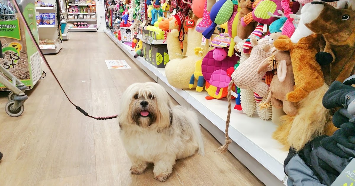 Pets Corner at Bridgemere Garden Centre Nantwich Cheshire Paws