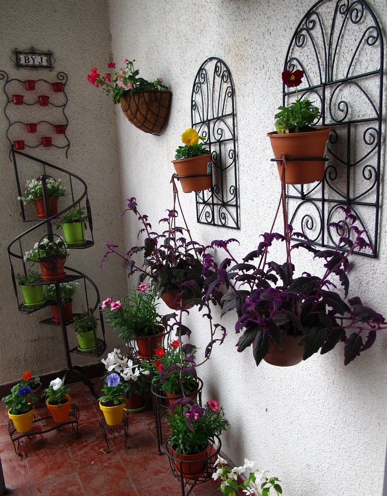 En tu casa: Tienda Deco C