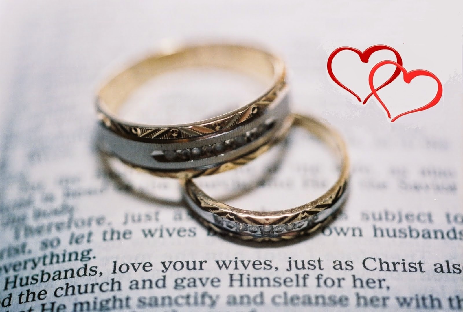 Household of God: Husbands, Love Your Wives, Even as Christ Also Loved