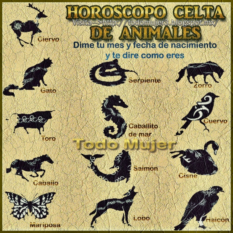 Todo Mujer HOROSCOPO CELTA DE ANIMALES