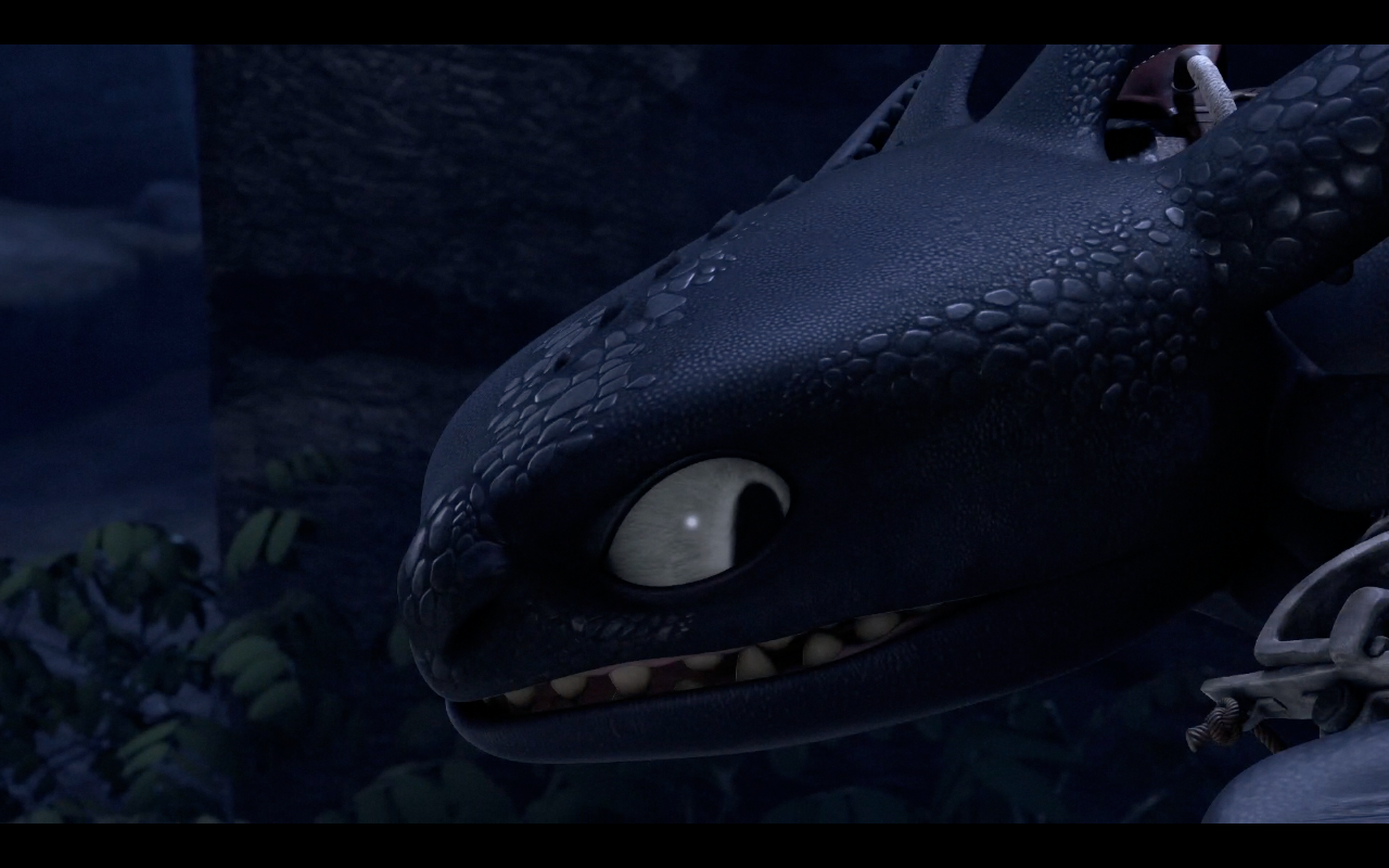 Toothless the Nightfury: The Night and The Fury: Things I liked! Post 2