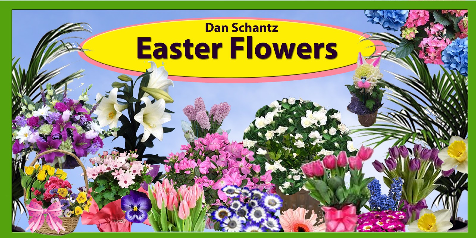 Dan Schantz Greenhouse and Cut Flower Outlet