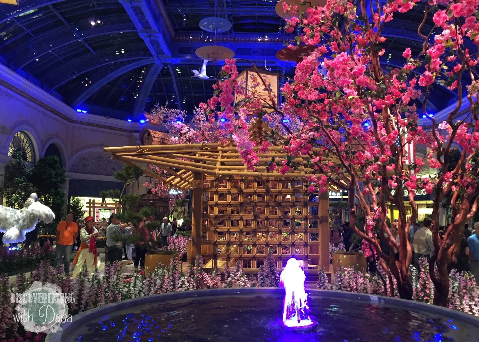 Discovereighng with Dana Vegas' Hidden Flower Garden