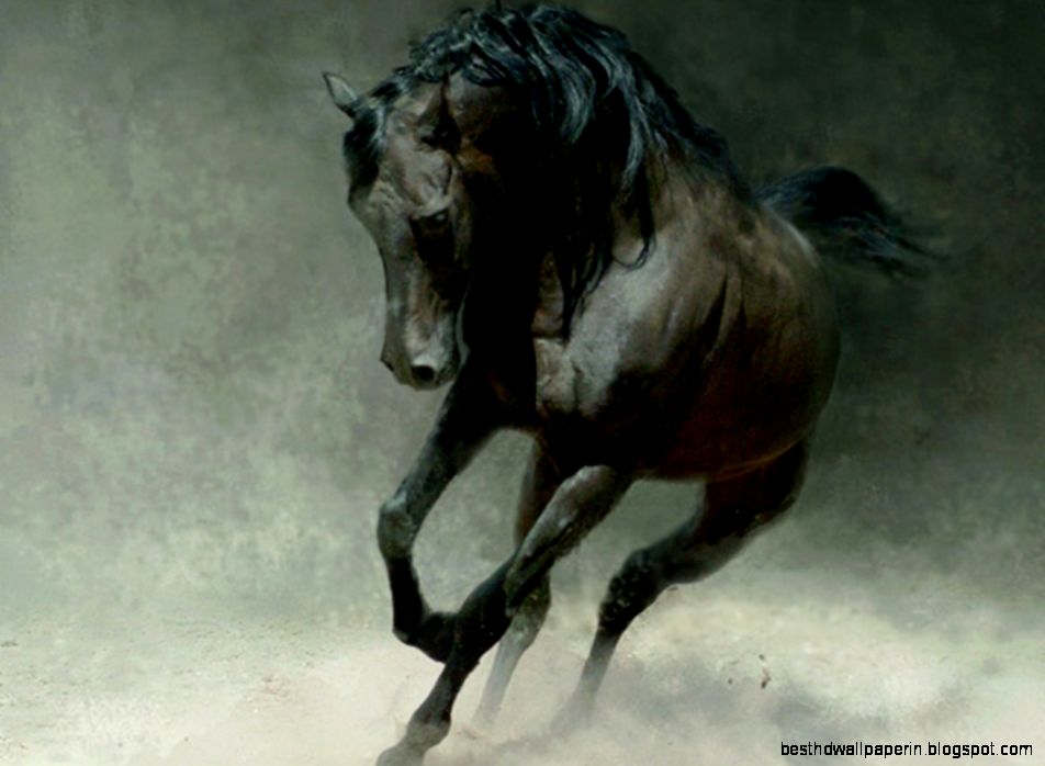 Wild Horse wallpaper 29