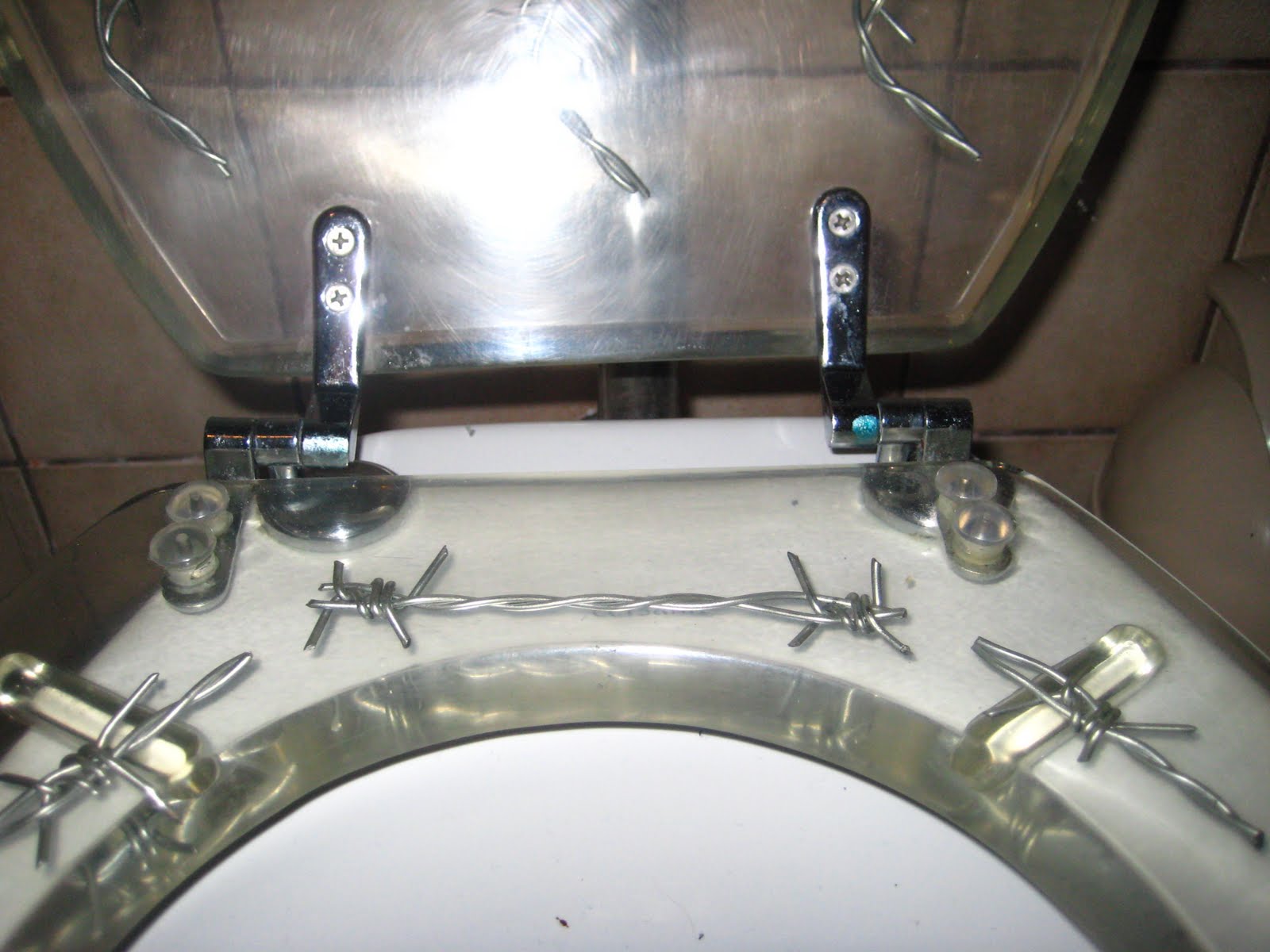 das Blog a tribute to our barbed wire toilet seat.