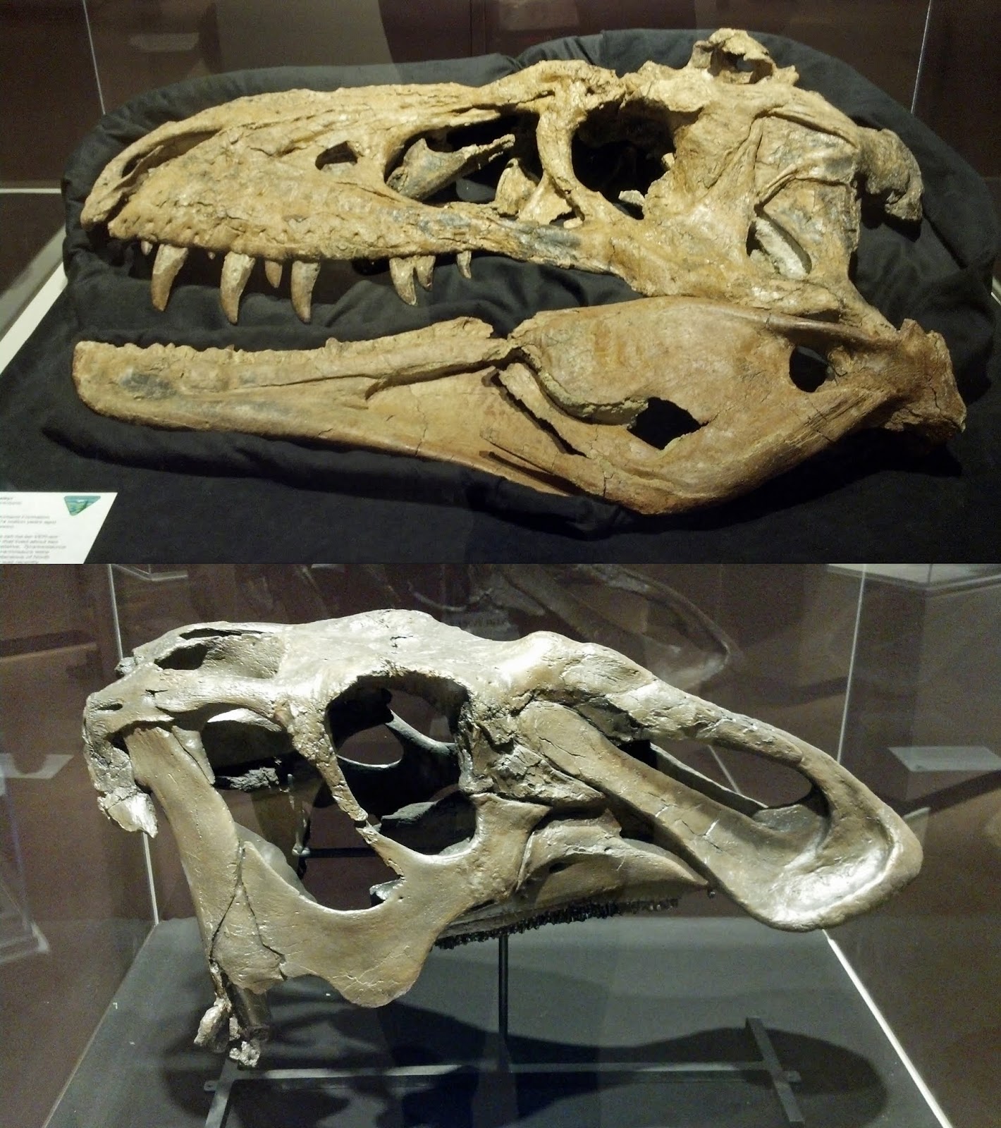 Equatorial Minnesota Photos from Albuquerque