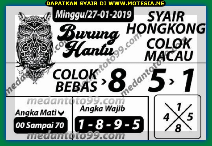 44 2020 Syair Burung Hantu Hk Mlm Ini Pictures