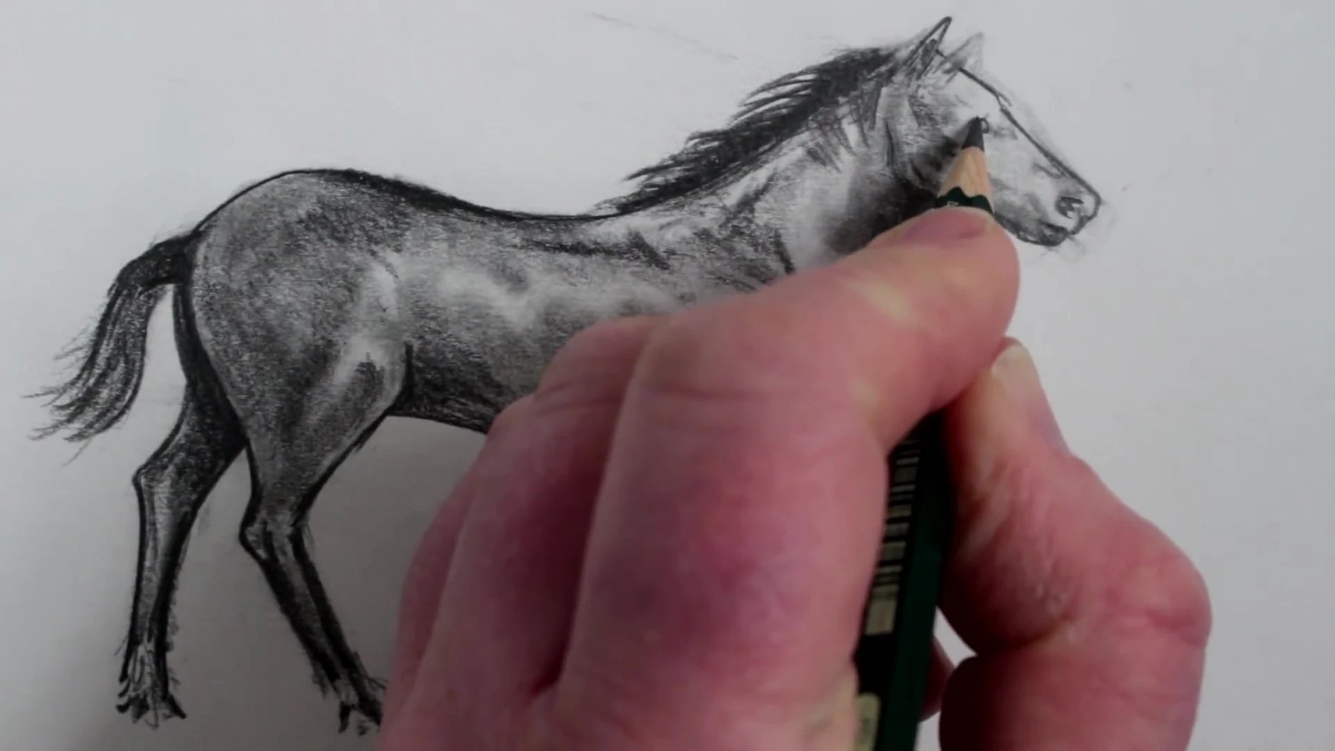 رسم حصان