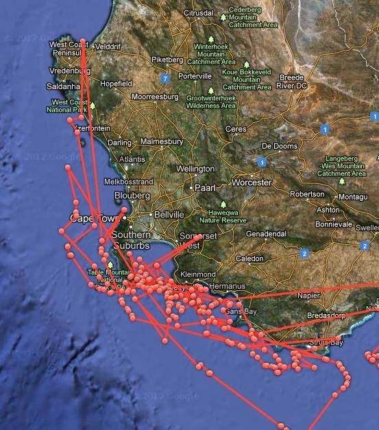 the good word groundswell: GPS-Tagged Sharks Post Location to Twitter