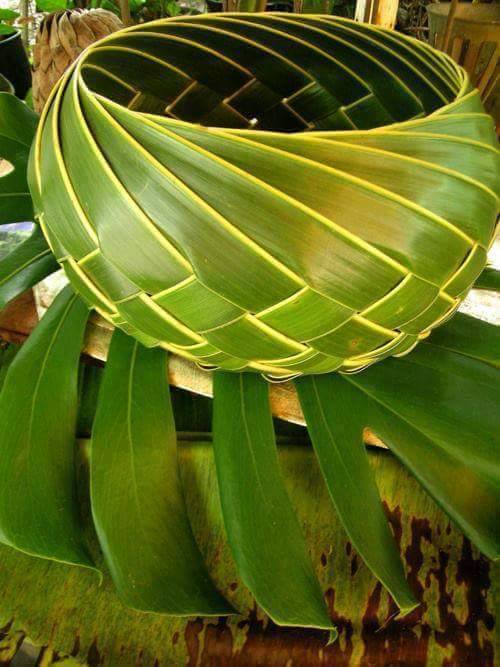 Membuat anyaman dari janur  daun kelapa Kumpulan Kreasi 