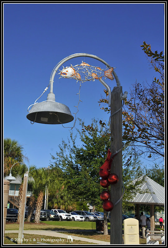 Cedar Key (Florida) Photos Lighting Up the Cedar Key Park