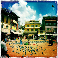 flying birds in boudhanath