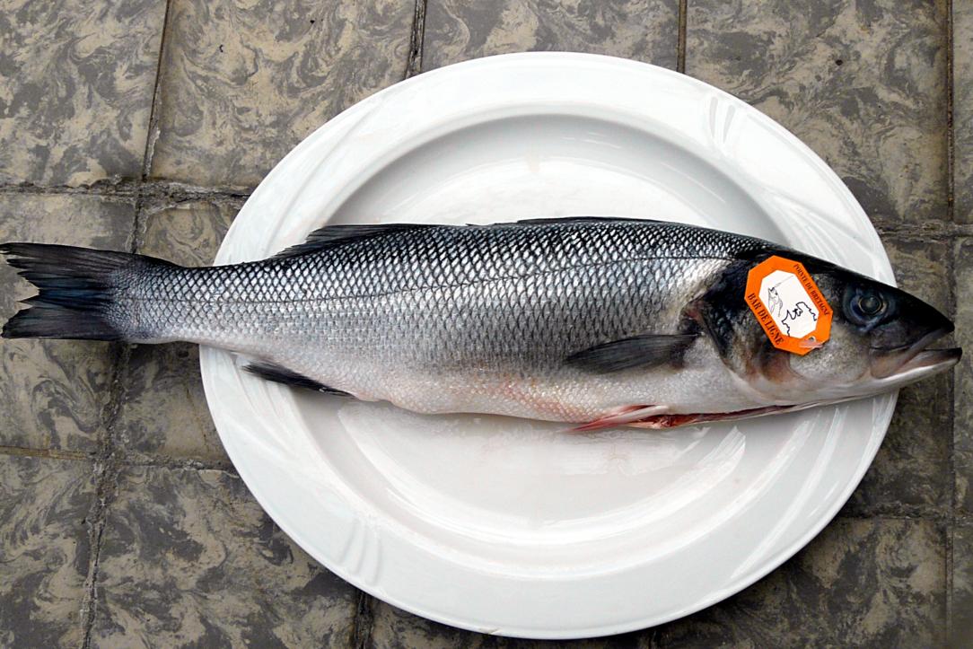 Kulinarische Welten zu Fisch- und Meeresfrucht: Bretonischer ... Kulinarische Welten zu Fisch- und Meeresfrucht: Bretonischer ...