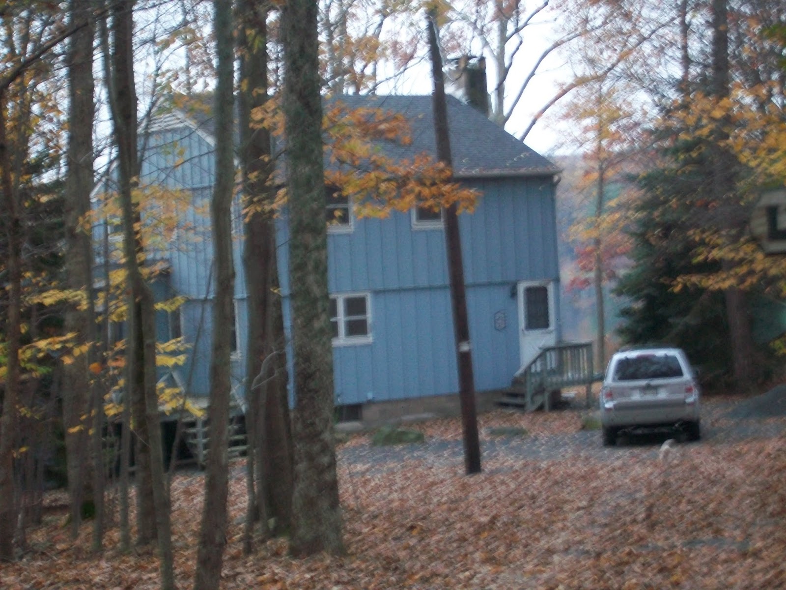 Cheryl Lynch Quilts Mosaic Pet Retreat