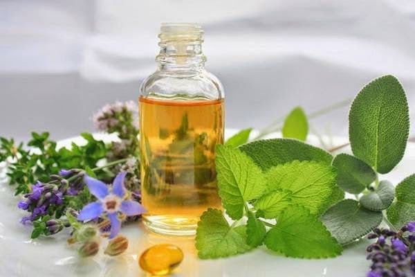 Oregano oil for Male Yeast Infection