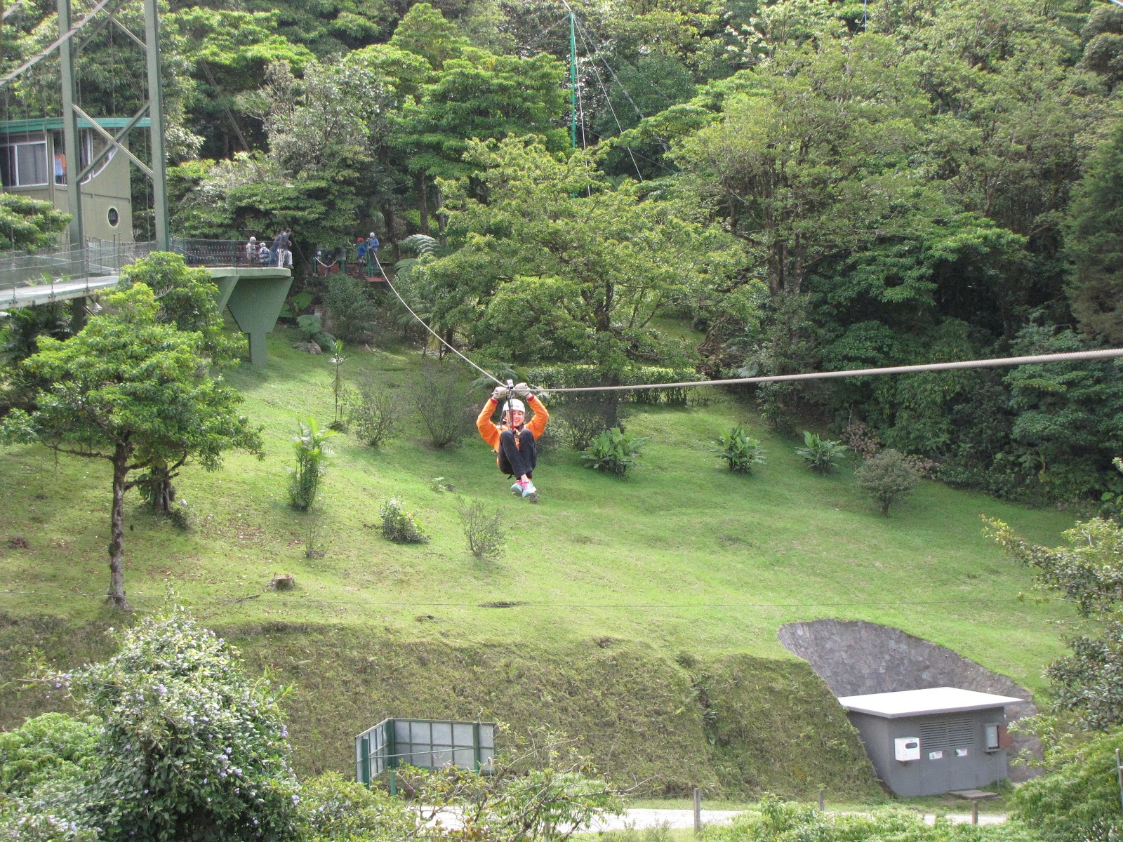 Beyond the Microscope Ziplining, Bungee Jumping, and Hot Springs, OH MY!