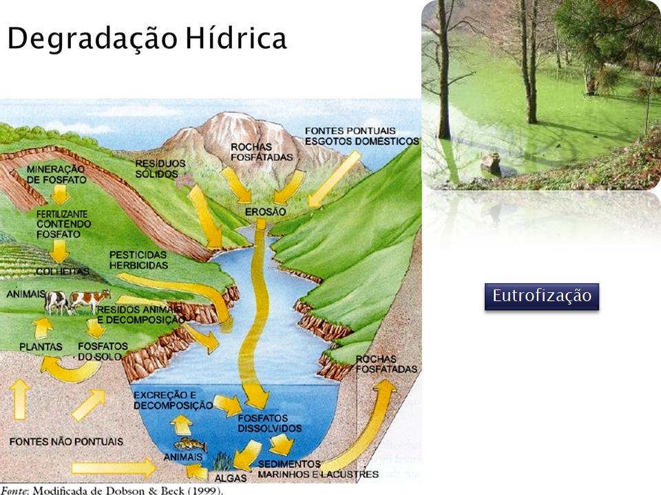TerráqueosemTerra Hidrografia do Brasil e do