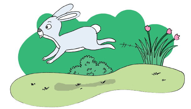 Rangkuman Tematik Kelas 5 Tema 1 Subtema 1 Organ Gerak Hewan Dan Manusia Kumpulan Soal Tematik Sd