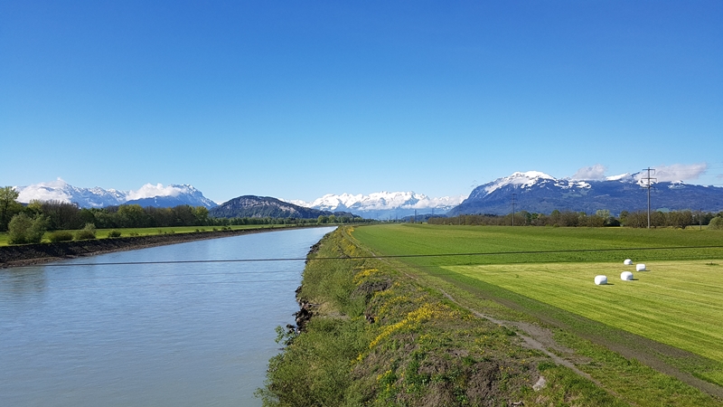 Jahreszeiten Gassirunde am Rheindamm...
