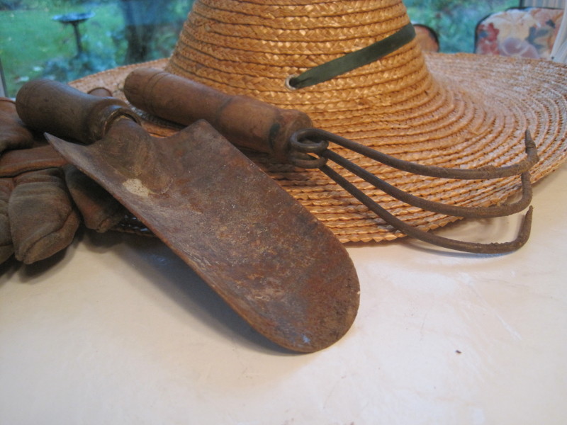 Artist Barbara Rosenzweig's Blog Art, Gardening, Photography, and Ramblings NEW PAINTING