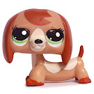 Littlest Pet Shop Small Playset Dachshund (#2035) Pet